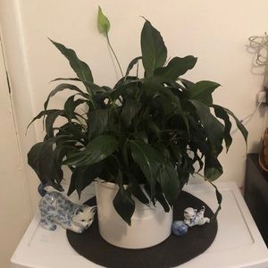 Ceramic Crock that is older and made in Portugal.  Minor chip on side of rim.